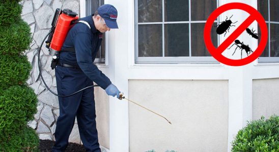 Doğubayazıt Kene İlaçlama böcek ilaçlama ve haşere kontrolü — ilaclama-tr.com